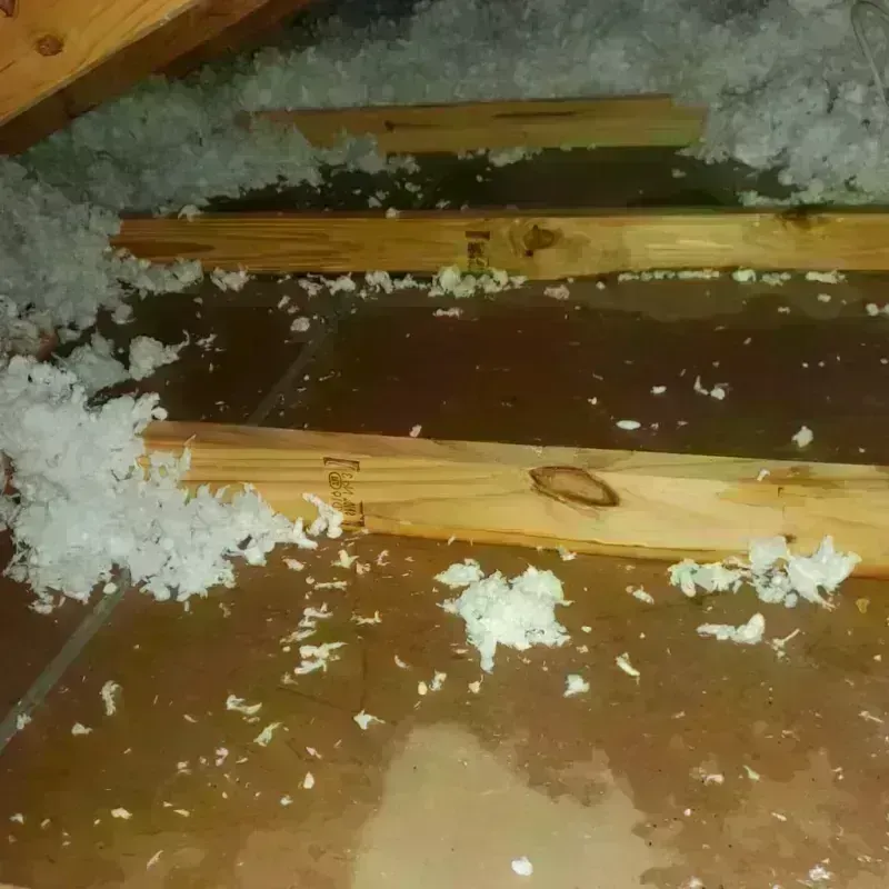 Attic Water Damage in Citronelle, AL